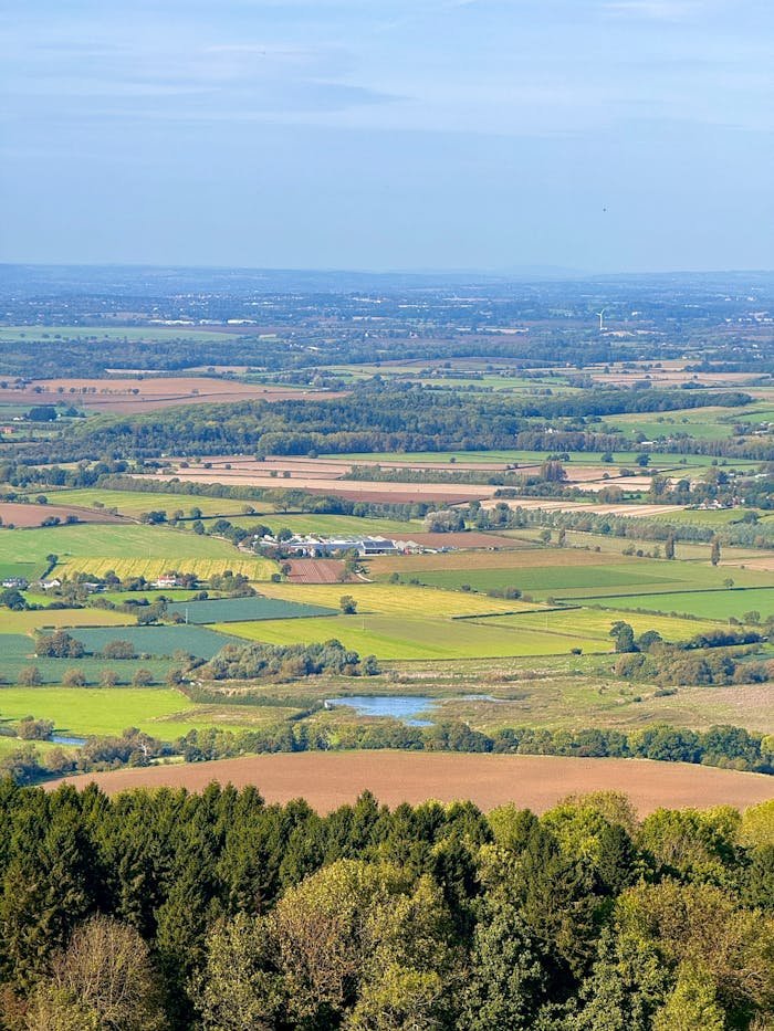 expansive-aerial-view-of-vibrant-countryside-landscape-29365654