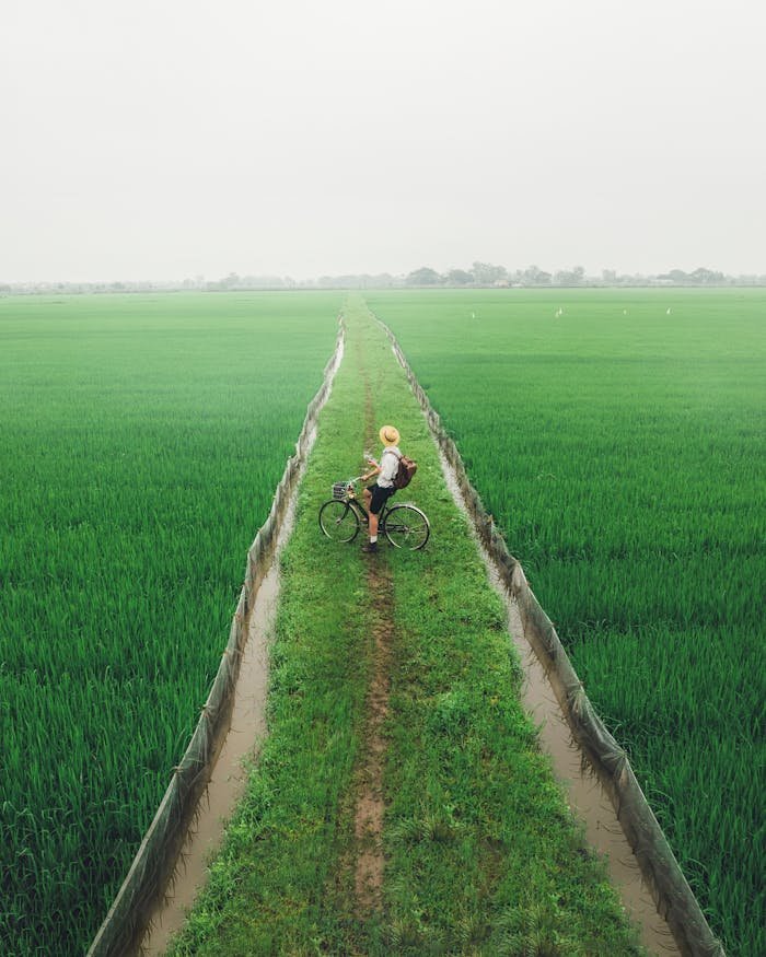 Man on Bike on Footpath on Fields in Countryside
